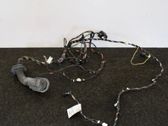 Front door wiring loom