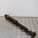 Rear shock absorber/damper