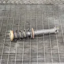 Rear shock absorber/damper