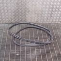 Trunk rubber seal (body)