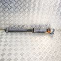 Rear shock absorber/damper