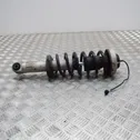 Rear shock absorber/damper