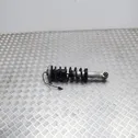 Rear shock absorber/damper