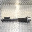 Rear shock absorber/damper