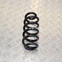 Rear coil spring