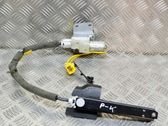 Stellmotor Gurtverstellung Sicherheitsgurt