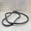 Trunk rubber seal (body)