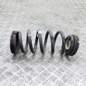 Rear coil spring