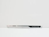 Front sill trim cover