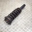 Rear shock absorber/damper