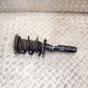 Front shock absorber/damper