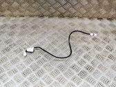 Sound system wiring loom