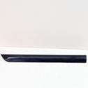 Rear door trim (molding)