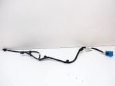 Other wiring loom