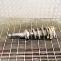 Rear shock absorber/damper