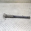 Rear shock absorber/damper