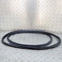 Trunk rubber seal (body)