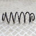 Rear coil spring