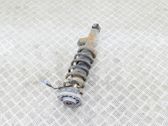 Rear shock absorber/damper