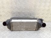 Intercooler radiator