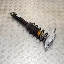 Rear shock absorber/damper