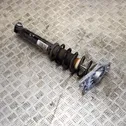 Rear shock absorber/damper