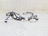 Cableado de puerta delantera