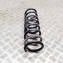 Rear coil spring