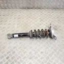 Rear shock absorber/damper