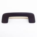 Front interior roof grab handle