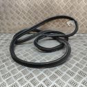 Trunk rubber seal (body)