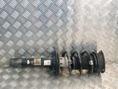 Front shock absorber/damper
