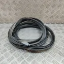 Trunk rubber seal (body)