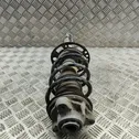 Front shock absorber/damper