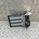 Electric cabin heater radiator