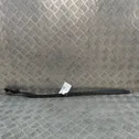 Windshield trim