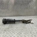 Front shock absorber/damper