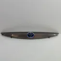 Trunk door license plate light bar