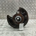 Rear wheel hub