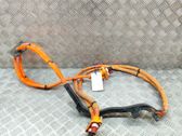 Other wiring loom
