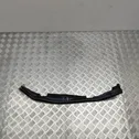 Rear door rubber seal (on body)