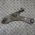 Front lower control arm/wishbone