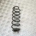 Rear coil spring