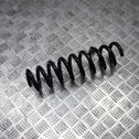 Rear coil spring