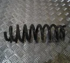 Rear coil spring