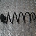 Rear coil spring