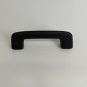 Front interior roof grab handle