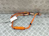 Other wiring loom