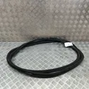 Trunk rubber seal (body)