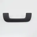 Front interior roof grab handle